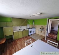 Kuchyně v rodinném domě s podlahou s dřevěným dekorem a zelenými skříňkami.
