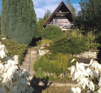Chata v Bratislavě - Karlově Vsi obklopená zelení s bílými květy v popředí.