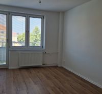Pokoj ve 3pokojovém bytě s podlahou v dřevěném dekoru, velkým oknem a radiátorem.