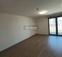 Obývací pokoj s kuchyňskou linkou a podlahou s dřevěným dekorem v 1-pokojovém bytě.