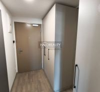 Pokoj s podlahou s dřevěným dekorem a balkónovými dveřmi v 1-pokojovém bytě.
