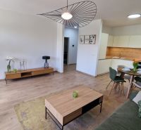 Obývací pokoj s kuchyní v 2-pokojovém bytě, podlaha s dřevěným dekorem, elegantní nábytek.