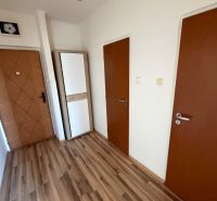 Chodba v 1-pokojovém bytě s podlahou s dřevěným dekorem a skříní.