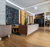 Obývací pokoj v rekreačním apartmánu s dekorativní stěnou a podlahou s dřevěným dekorem.