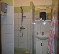 Koupelna v 3-pokojovém bytě s obkladem a sprchou.