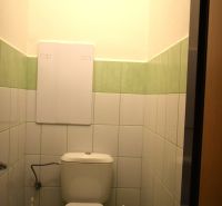 Koupelna se zeleno-bílými obklady a toaletou ve 3-pokojovém bytě.