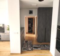 Interiér 2-pokojového bytu s podlahou s dřevěným dekorem, televizí a úložným prostorem.