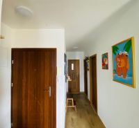 Chodba rekreačního apartmánu s podlahou s dřevěným dekorem a barevnými obrazy na stěnách.