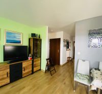 Obývací pokoj v rekreačním apartmánu s televizí a dekoracemi, podlaha s dřevěným dekorem.