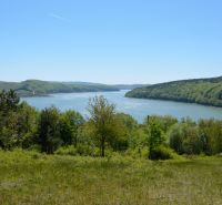 Výhled z rekreačních pozemků v Nové Kelči na jezero obklopené lesy.