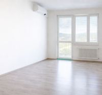 Světlý prostor 2pokojového bytu s podlahou s dřevěným dekorem a klimatizací.