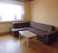 Světlý obývací pokoj v 2-pokojovém bytě s pohovkou a stolkem na podlaze s dřevěným dekorem.