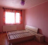 Ložnice se světle růžovými stěnami, postelí a podlahou s dřevěným dekorem v 2-pokojovém bytě.