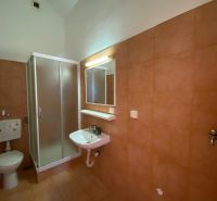 Koupelna v rekreačním apartmánu s umyvadlem a sprchovým koutem.