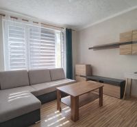 Obývací pokoj s pohovkou, podlahou s dřevěným dekorem a nábytkem v 1-pokojovém bytě.