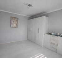 Světlý pokoj v 1-pokojovém bytě s šatníkovou skříní a dekoracemi na komodě.