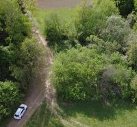 Auto na lesní cestě v rekreačních pozemcích Streženice, Streženice obklopené zelení.