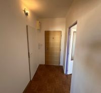 Vstupní chodba v 2-pokojovém bytě s podlahou s dřevěným dekorem a světlým osvětlením.