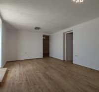 Velká světlá místnost v rodinném domě s podlahou s dřevěným dekorem.