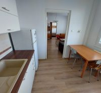 Kuchyně v 1-pokojovém bytě s jídelním stolem a podlahou s dřevěným dekorem.
