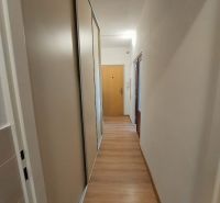 Chodba s vestavěnou skříní a podlahou s dřevěným dekorem v 1-pokojovém bytě.