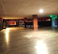 Prostorné obchodní prostory s dřevěnou podlahou a stropními světly k pronájmu.