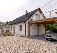 Rodinný dům v Sobotišti se šikmou střechou, terasou a dřevěným přístřeškem pro auto.
