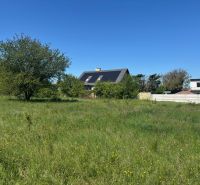 IMG_2505.jpeg