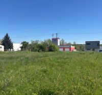 IMG_2508.jpeg