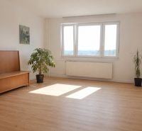 Obývací pokoj se světlou podlahou s dřevěným dekorem a rostlinami ve 4-pokojovém bytě.