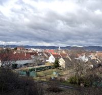 IMG_0944 1.JPEG