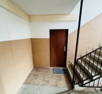 Vstupní dveře do 3pokojového bytu, schodiště a stěny s pastelovými odstíny.