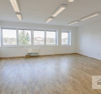 Prostorná kancelář s podlahou s dřevěným dekorem a velkými okny.