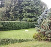 Zahrada u rodinného domu v Trebostově s živým plotem a trávníkem.