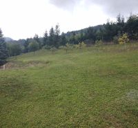 Zahrada s výhledem na les a svah v okolí rodinného domu v Trebostově.
