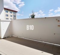 Balkon v 3-pokojovém bytě. Rostlina v květináči, dlažba, částečný výhled na sousední budovu.