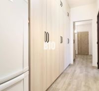 Chodba v 3-pokojovém bytě s podlahou s dřevěným dekorem a světlými skříněmi.