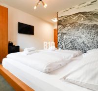 Interiér rekreačního apartmánu s pohodlnou postelí, dekorativní stěnou a televizí.