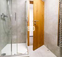 Koupelna se skleněným sprchovým koutem a žebříkovým radiátorem v Rekreačním apartmánu.