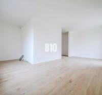 Světlý a prostorný 1-pokojový byt s novou dřevěnou podlahou a čistými stěnami.