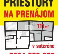 Pronájem 111 m² obchodních prostor v suterénu s půdorysem a kontaktem.