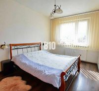 Ložnice s manželskou postelí a podlahou s dřevěným dekorem, 3pokojový byt.