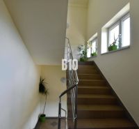 Schodiště se zábradlím a rostlinami vedle oken zvyšuje přirozené osvětlení kanceláří.