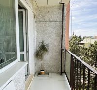 Balkon s bílou podlahou a rostlinou v 1-pokojovém bytě.