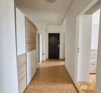 Vstupní chodba s vestavěnou skříní a podlahou s dřevěným dekorem ve 3pokojovém bytě.