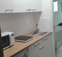 Kuchyňský kout v garsonce se skříňkami, mikrovlnkou a podlahou s dřevěným dekorem.