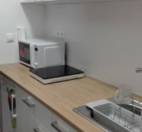 Kuchyňská linka v garsonce s mikrovlnkou, varnou deskou a dřevěným dekorem.