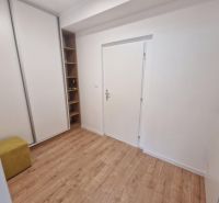 Chodba v 2-pokojovém bytě s podlahou s dřevěným dekorem a vestavěnou skříní.