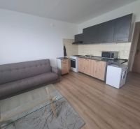 Obývací část 1-pokojového bytu s podlahou s dřevěným dekorem, pohovkou a kuchyňskou linkou.