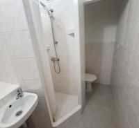 Koupelna s umyvadlem, sprchovým koutem a toaletou ve světlých obkladových barvách, 1-pokojový byt.